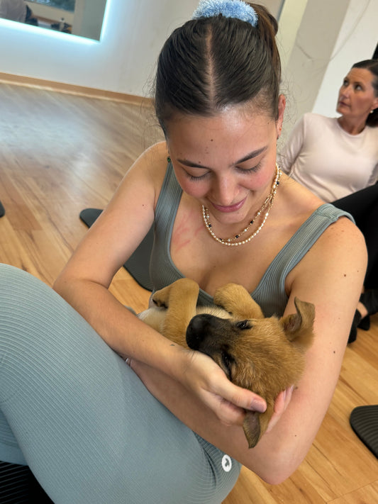 Puppy Yoga Refugio - Roma Norte