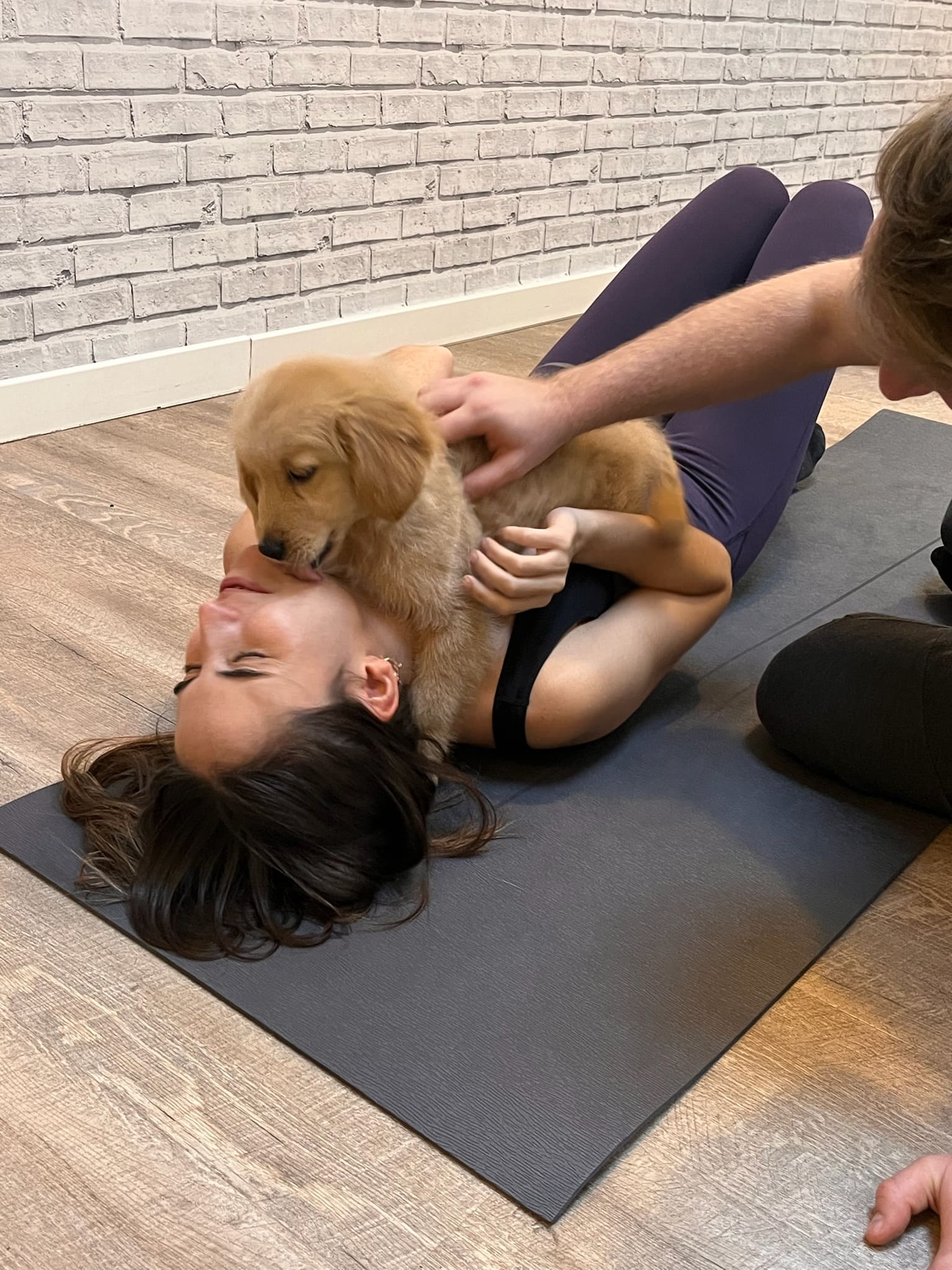 Una participante jugando con un cachorro golden